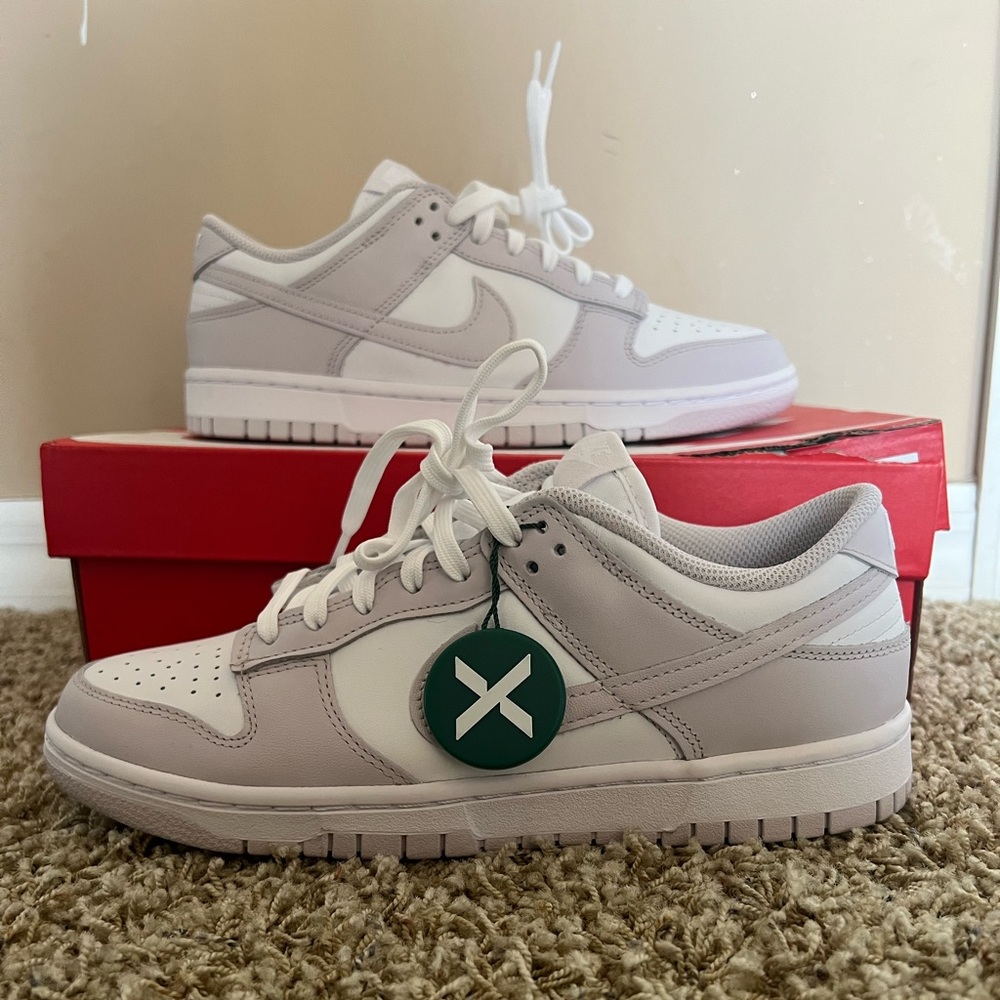 venice nike dunks
